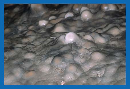 Stalagmiten entstehen durch auf die gleiche Stelle tropfendes Wasser und wachsen sehr langsam